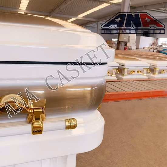 Ana American Style 27 Inch Inside Width Brush Gold Metal Coffin Casket